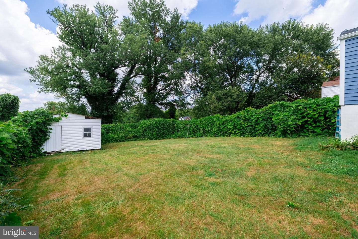 6100 Elder Street photo 17