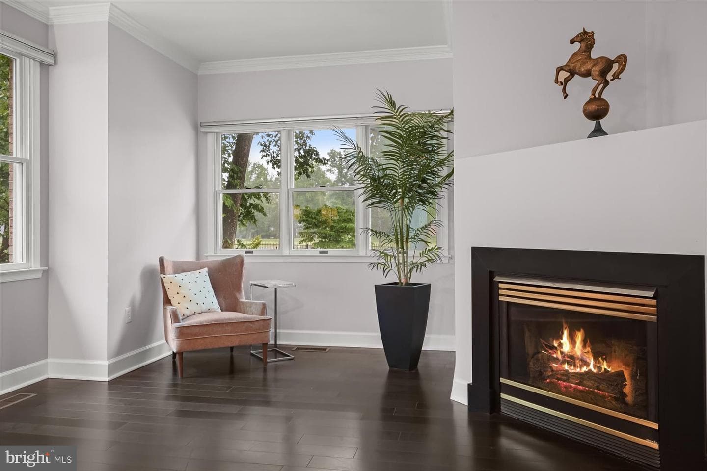 12525 Monterey Circle photo 16