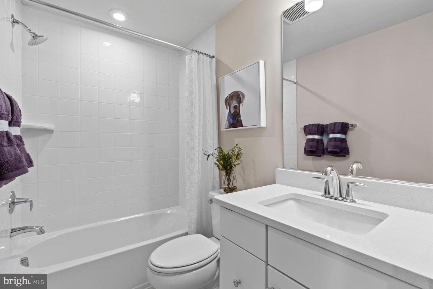 3537 Dean Drive photo 18