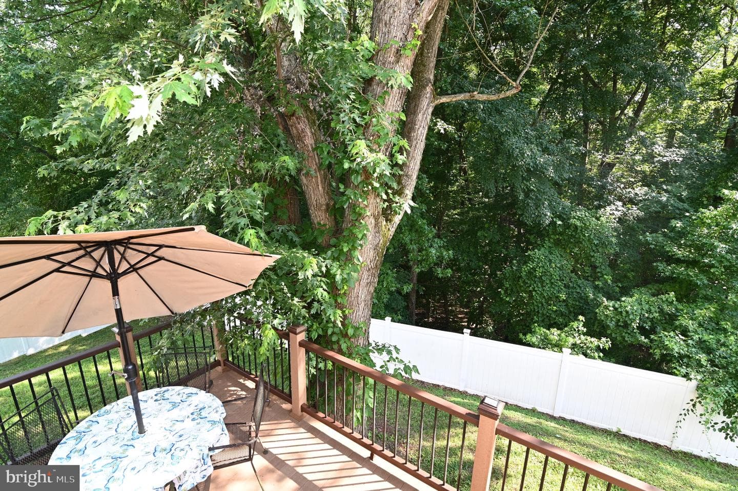 3407 Wayneswood Road photo 59