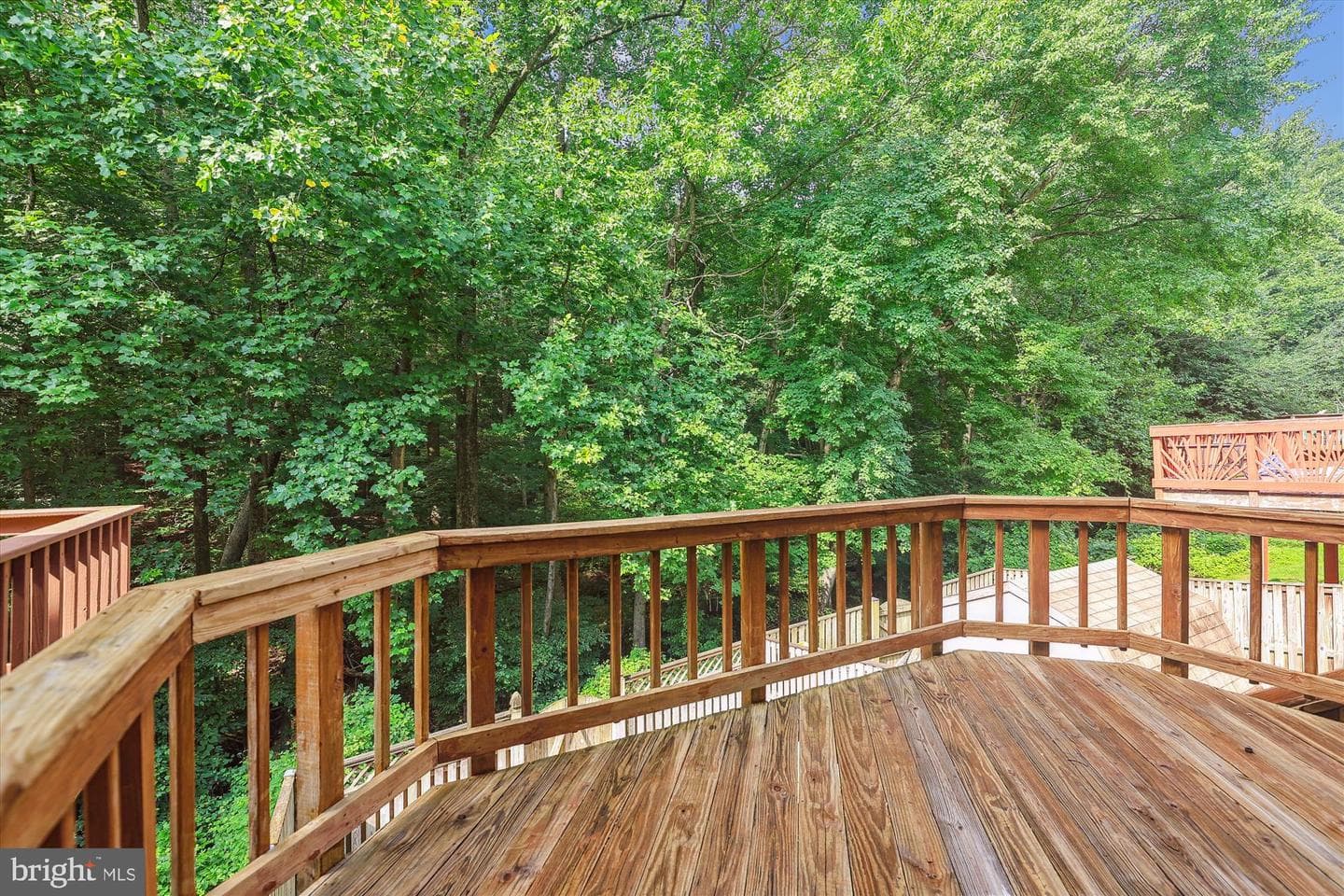 4125 Silver Park Terrace photo 2