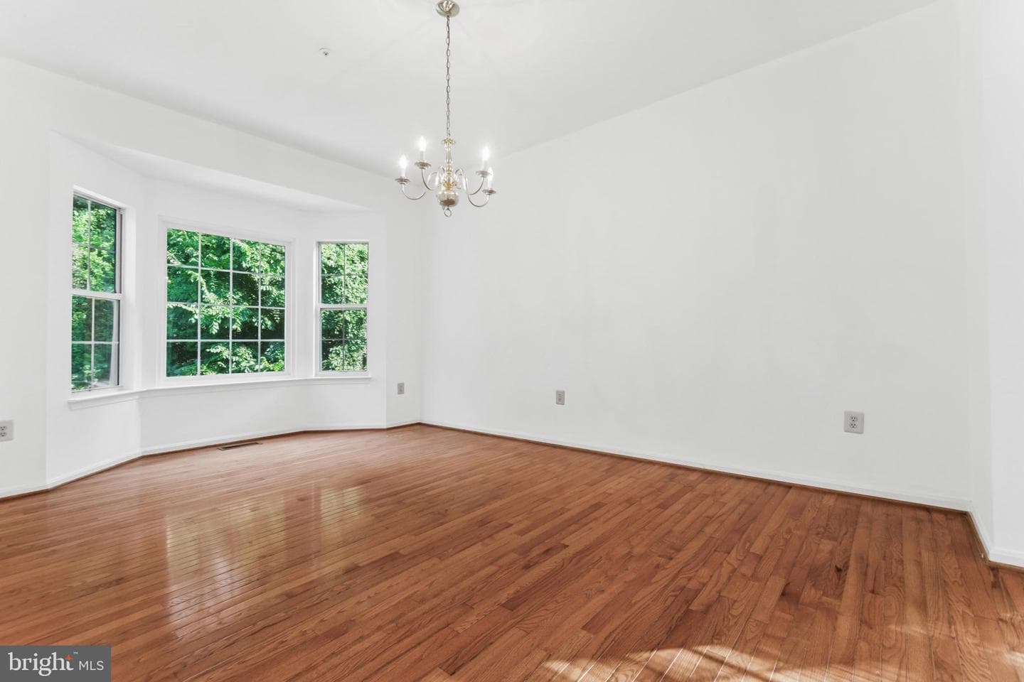 10114 Autumn Ridge Court photo 10
