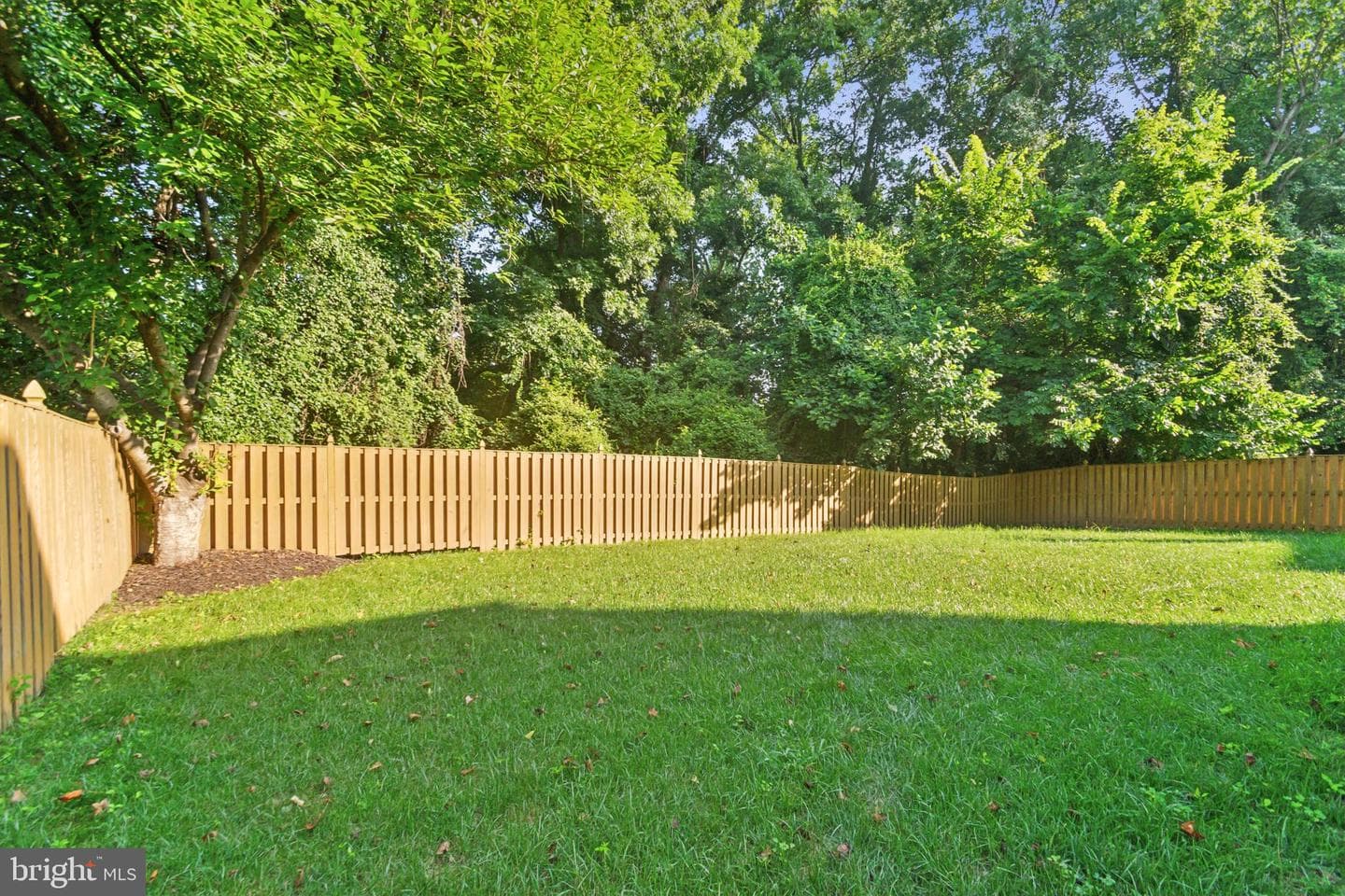 10114 Autumn Ridge Court photo 43