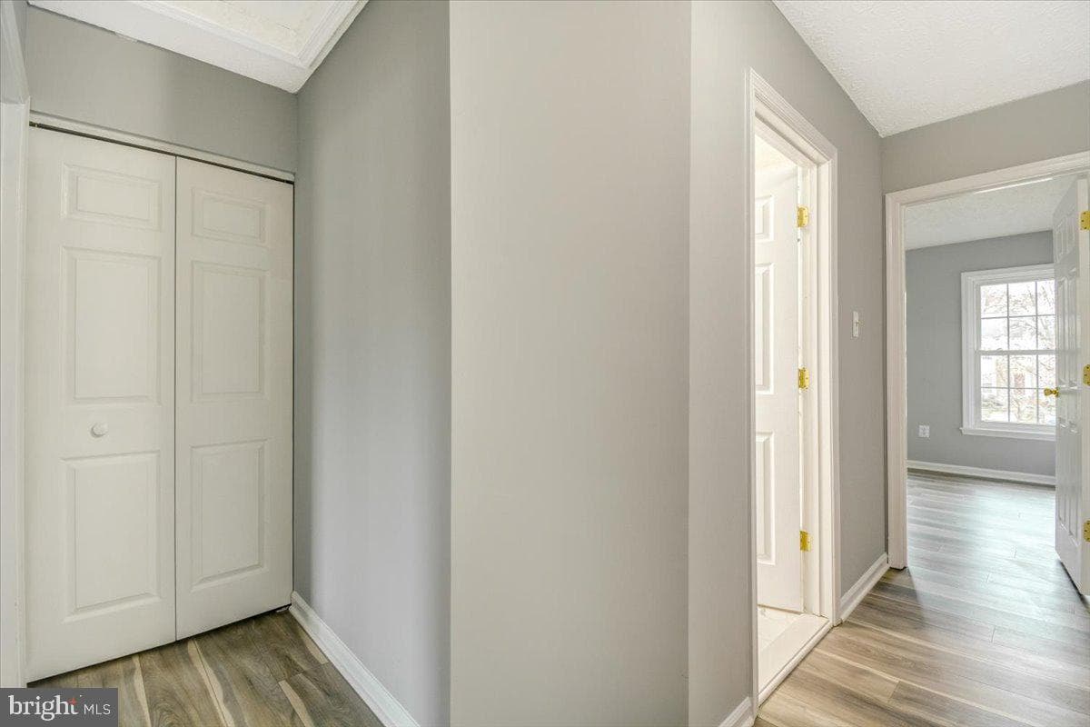 11415 Hawk Ridge Court photo 18