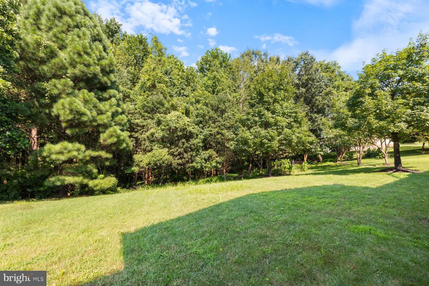 11504 Carriage Crossing Drive photo 58