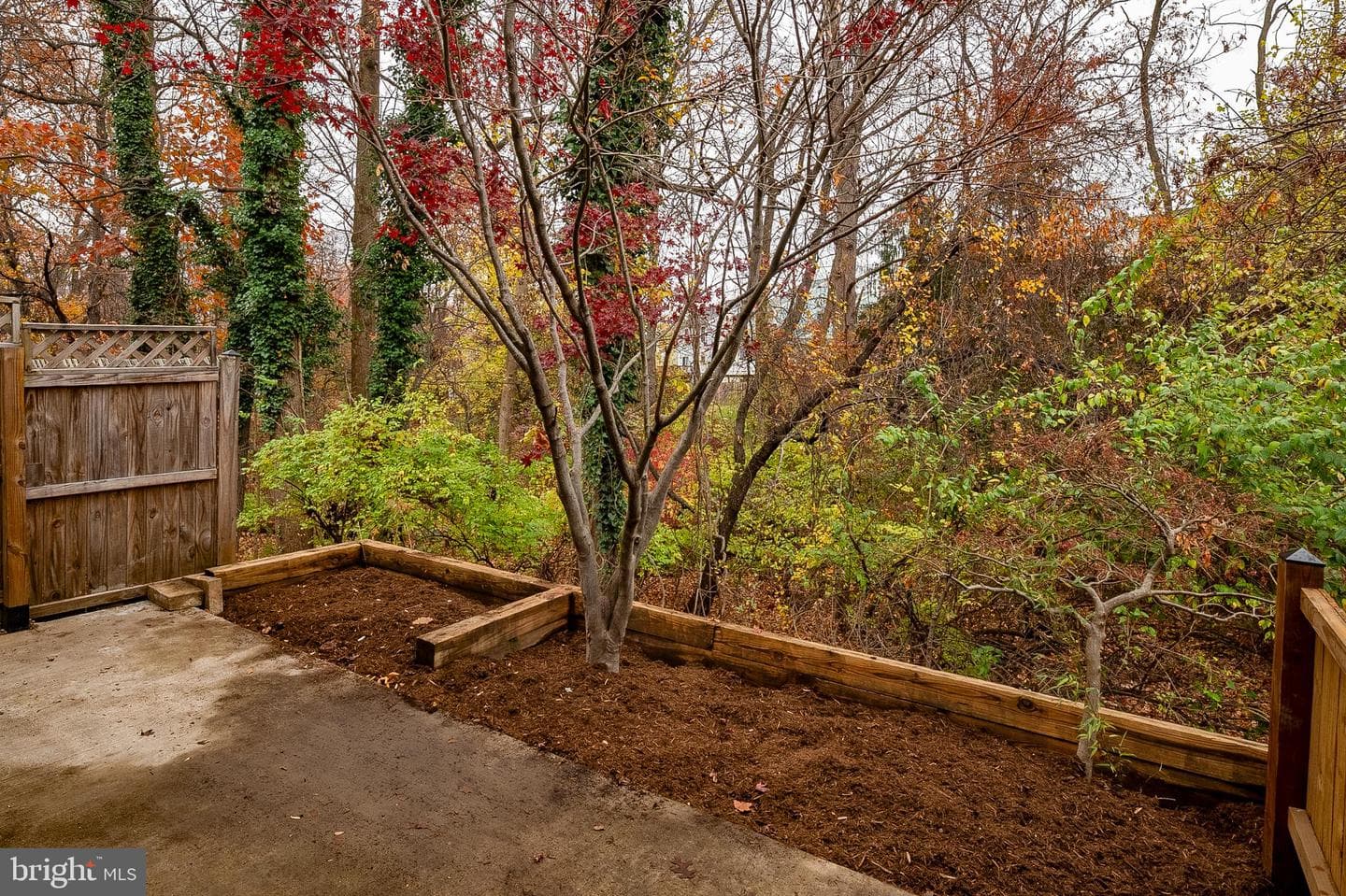 14201 Oakpointe Drive photo 42