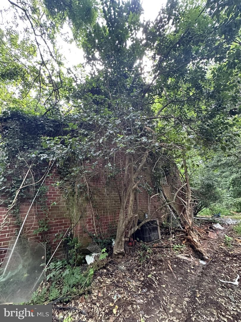1410 Rich Hill Drive photo 5