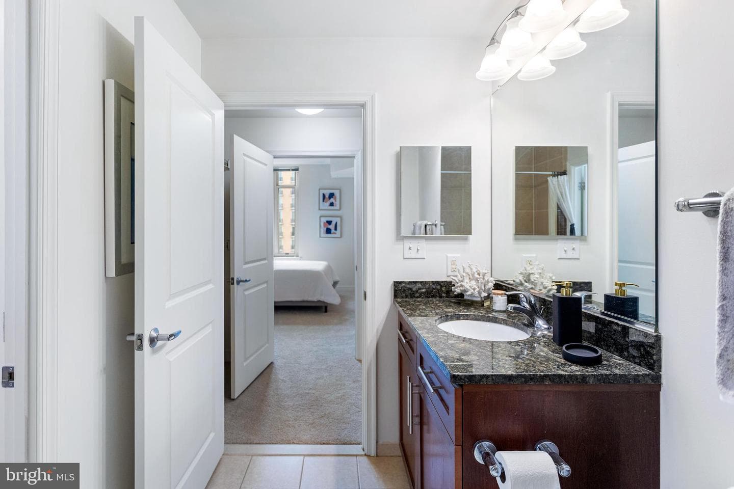 155 Potomac Passage #522 photo 32