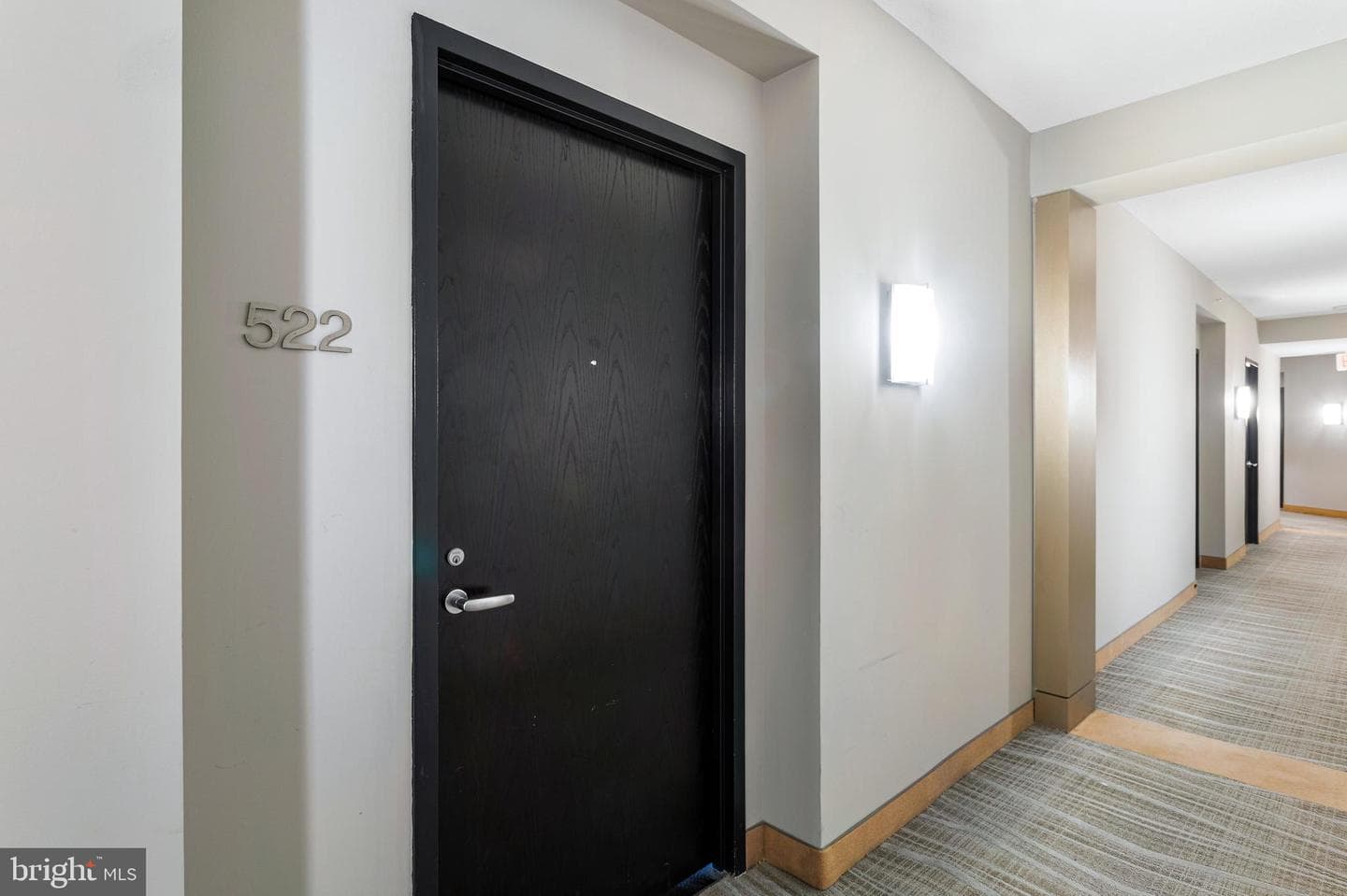 155 Potomac Passage #522 photo 8