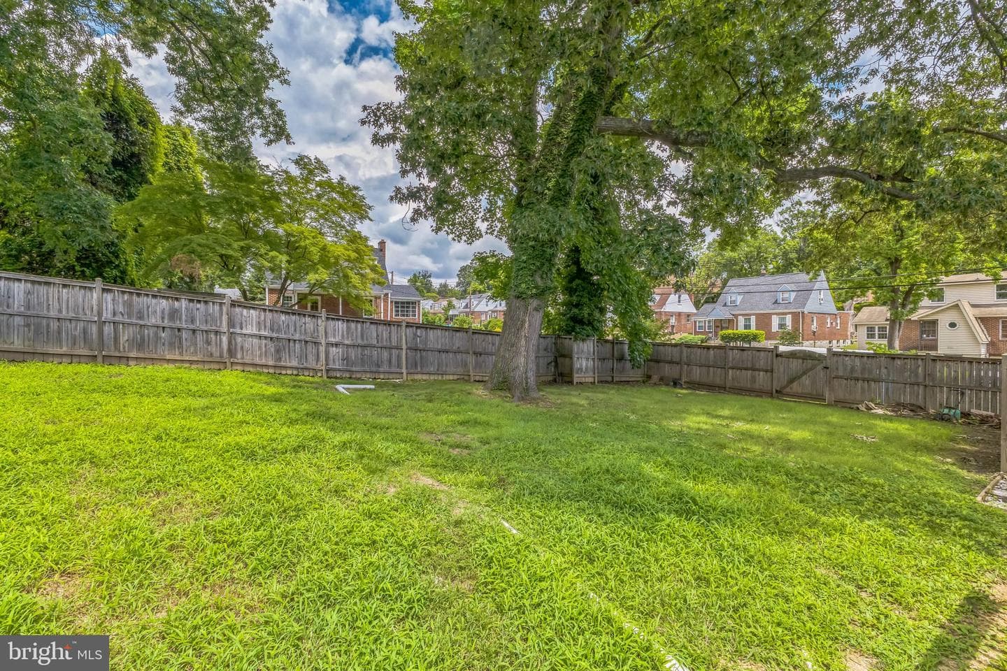 1601 Nova Avenue photo 6