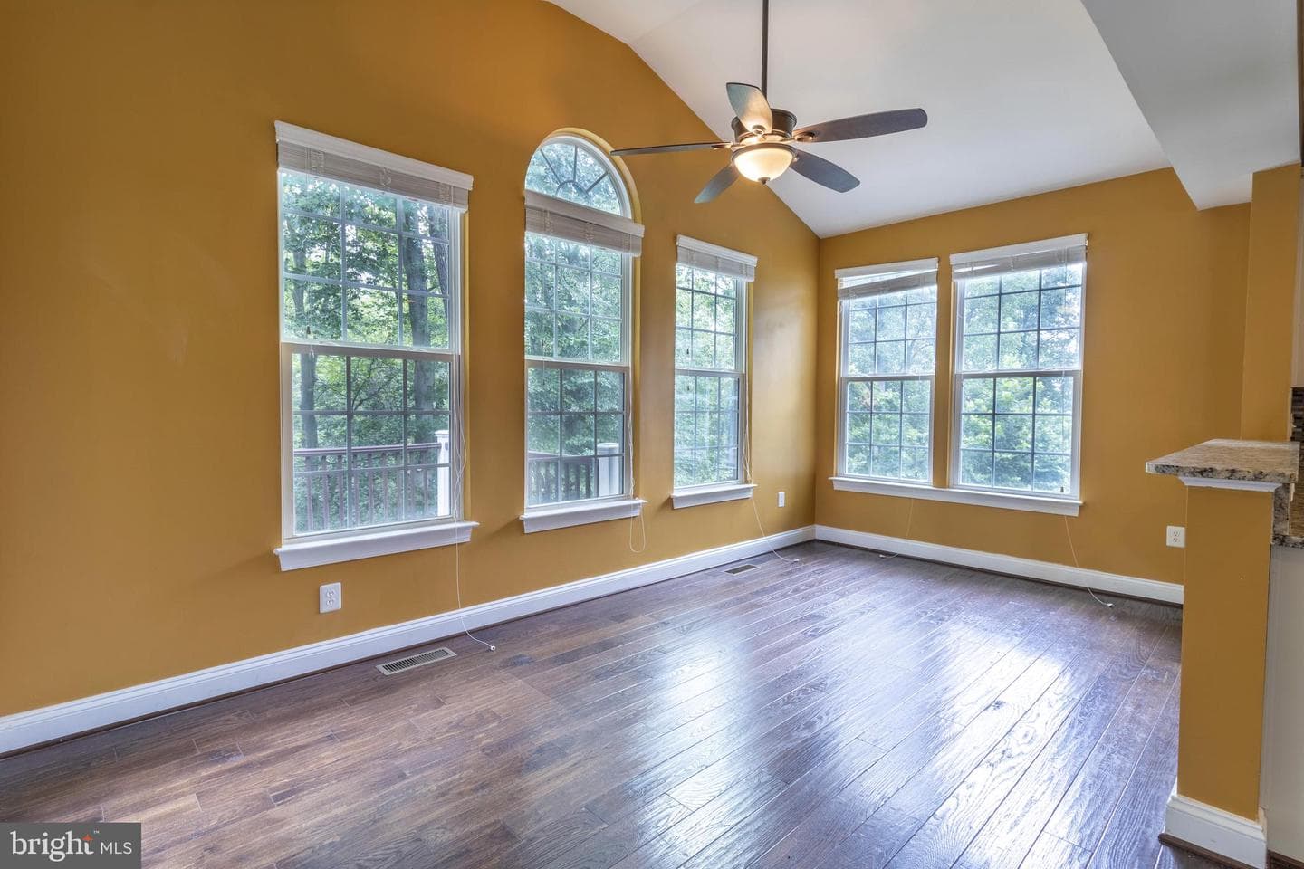 13703 Doctor Edelen Drive photo 39