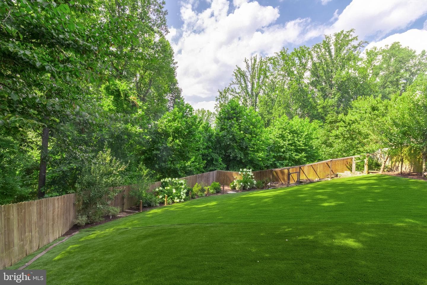 13703 Doctor Edelen Drive photo 5