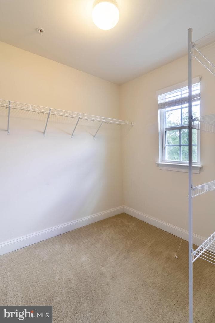 13703 Doctor Edelen Drive photo 53