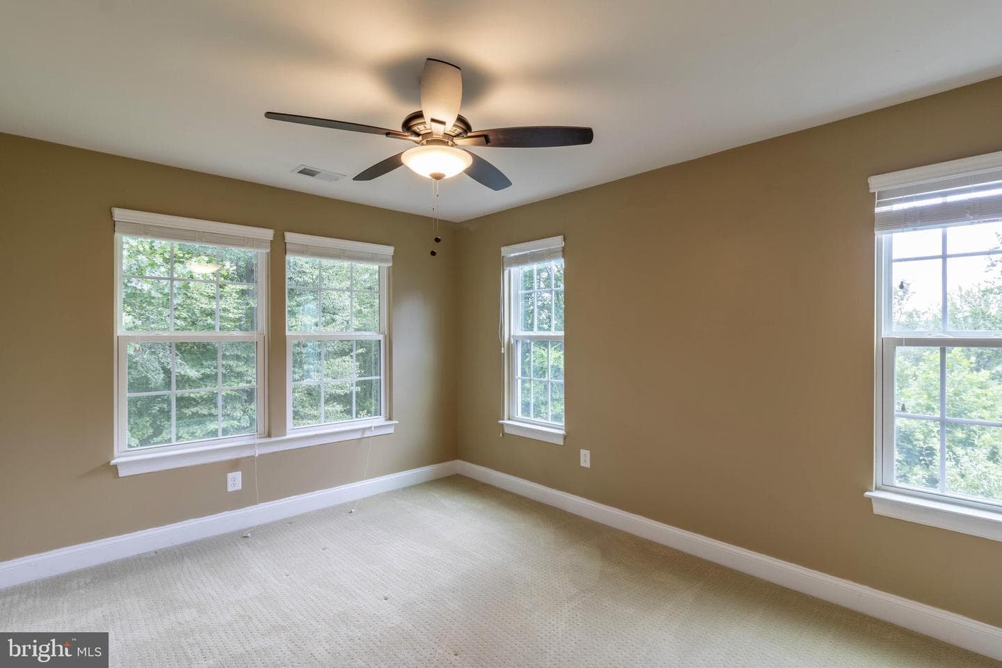 13703 Doctor Edelen Drive photo 58