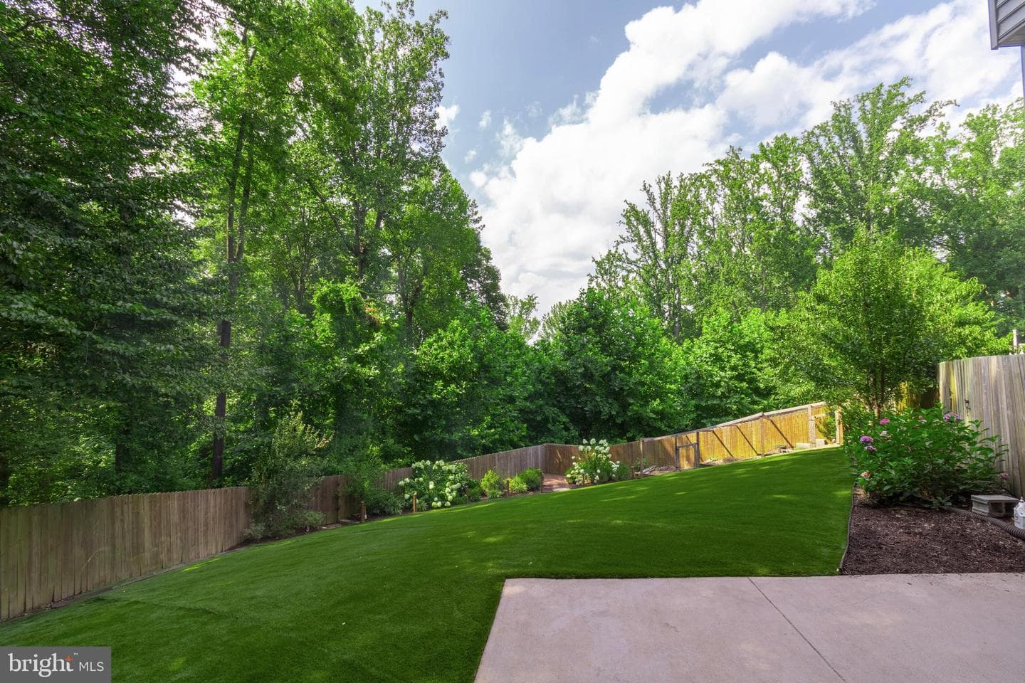 13703 Doctor Edelen Drive photo 6