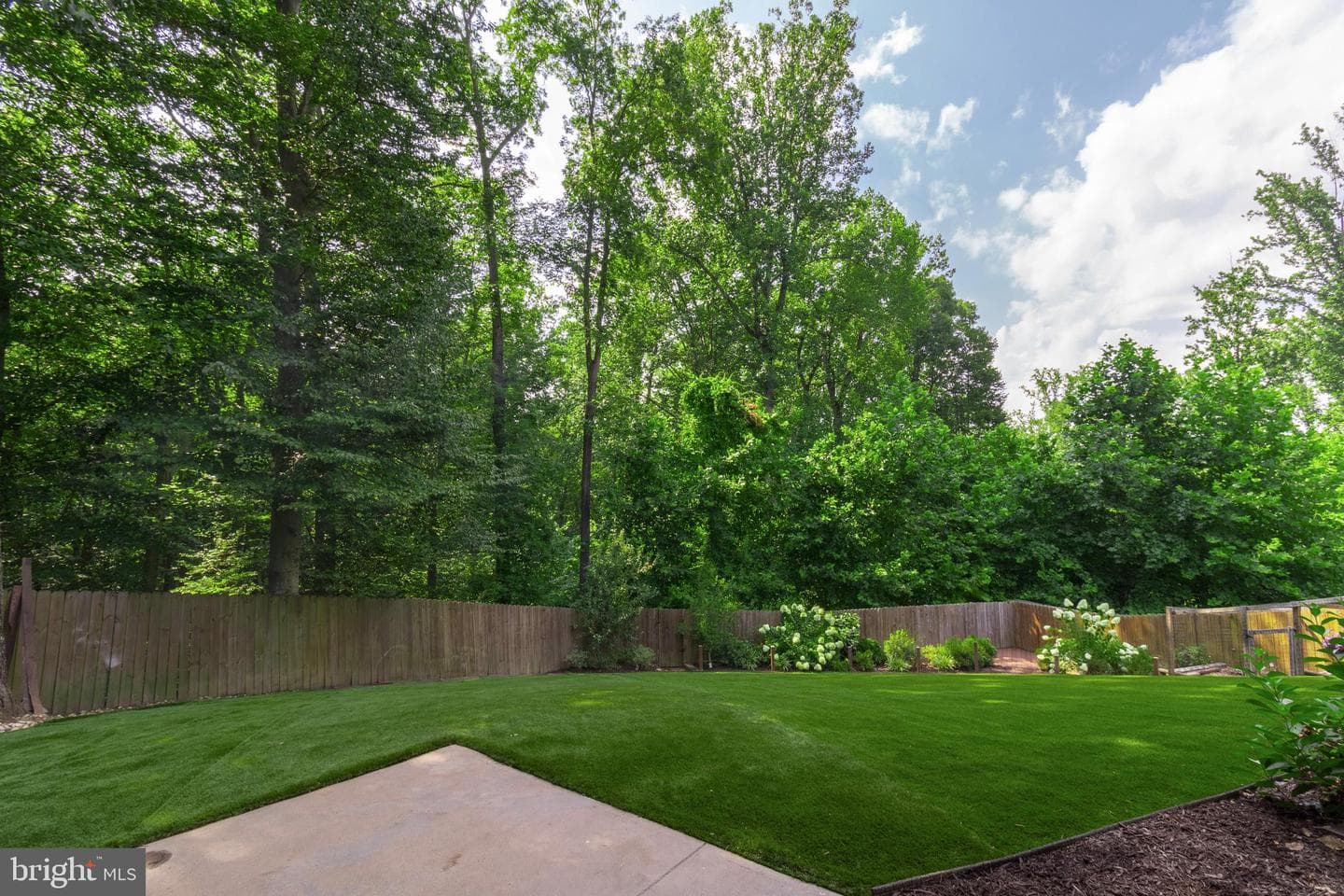 13703 Doctor Edelen Drive photo 7