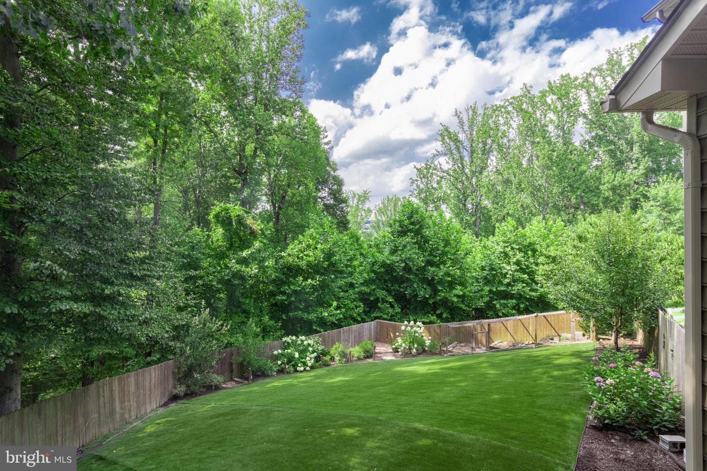 13703 Doctor Edelen Drive photo 8