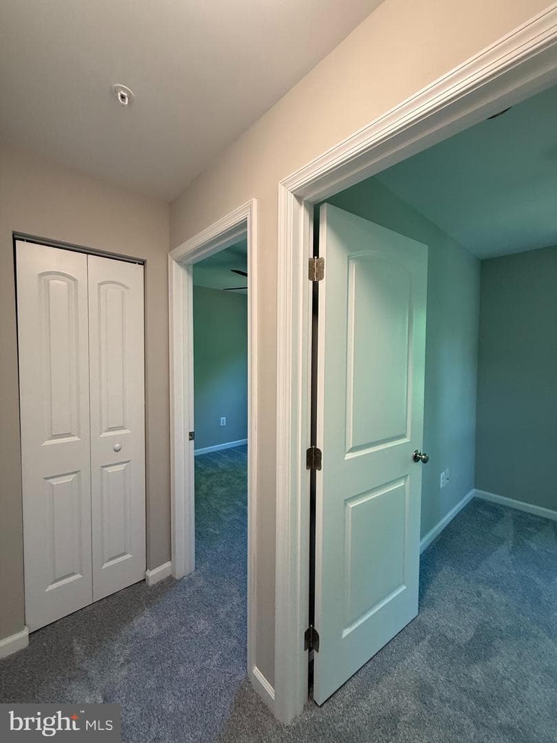 9906 Doubletree Terrace photo 19