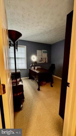 13300 Burleigh Street photo 10