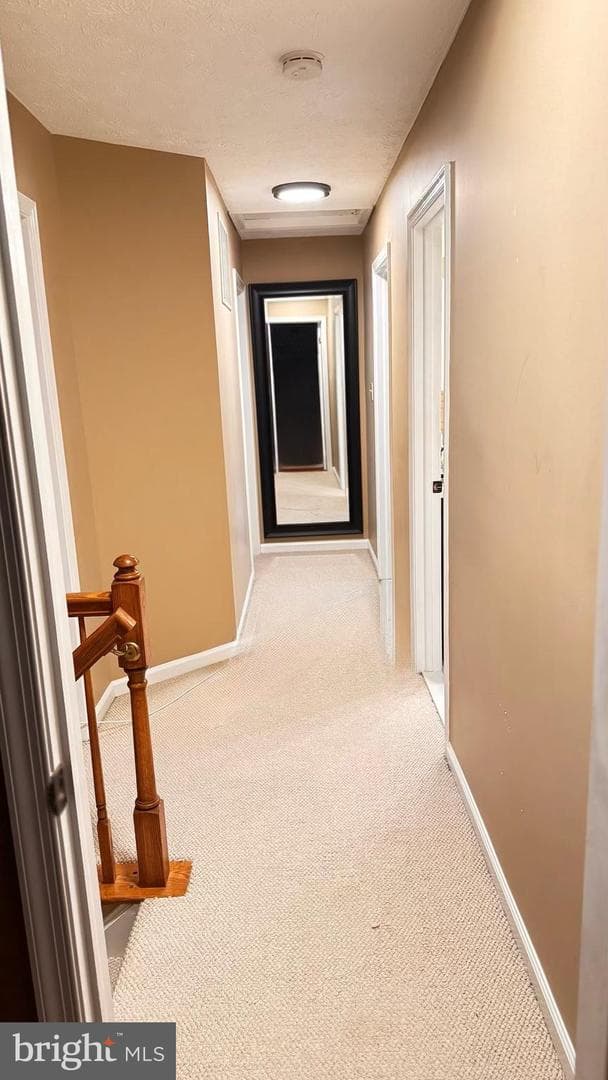 13300 Burleigh Street photo 24