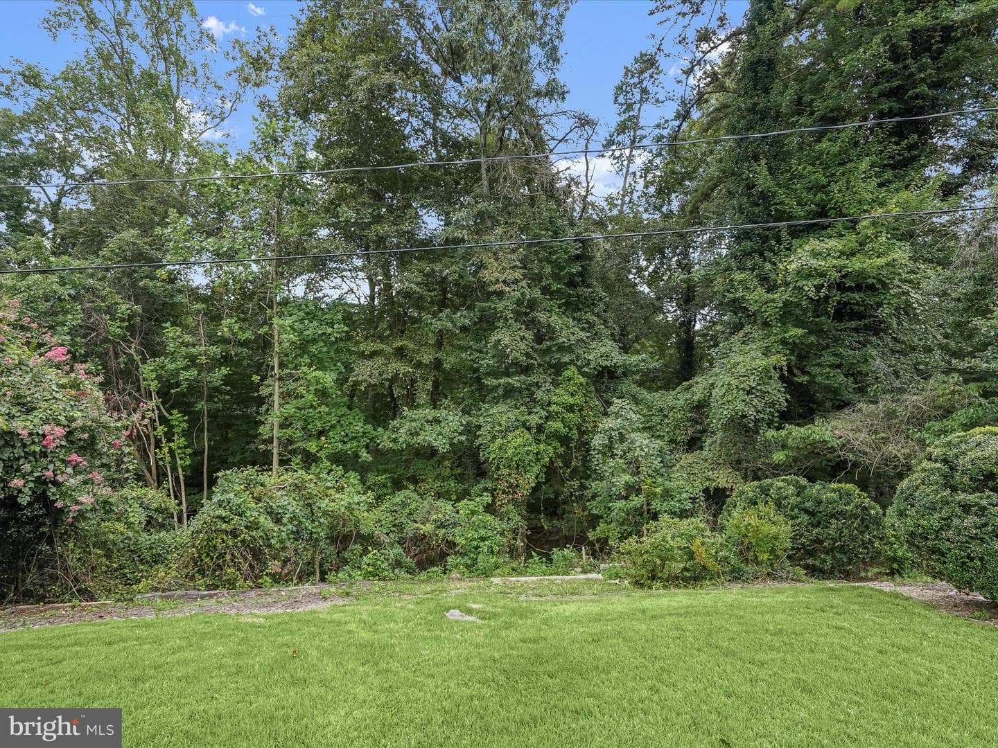 13015 Victoria Heights Drive photo 78