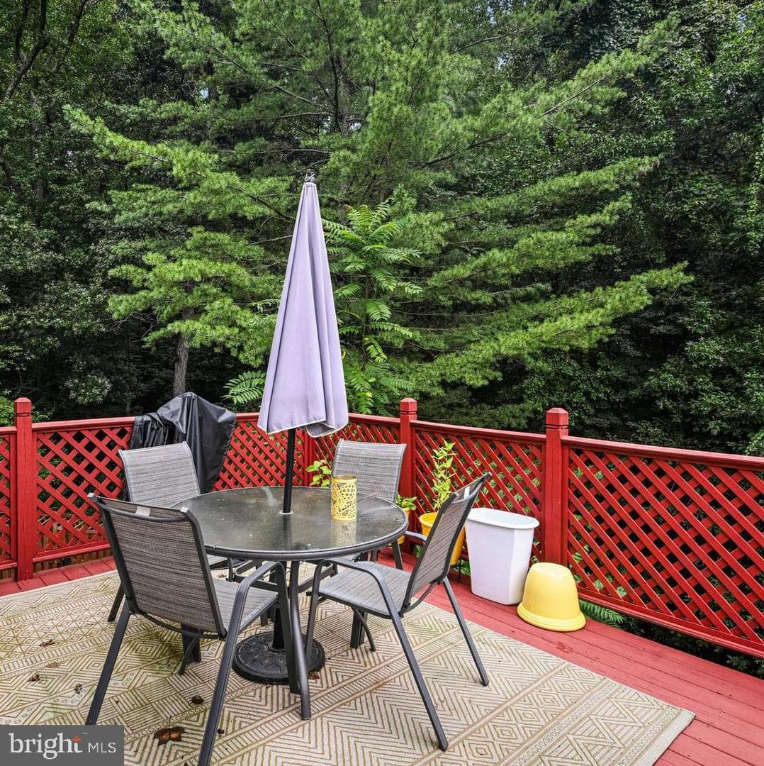 11403 Cosca Park Place photo 16