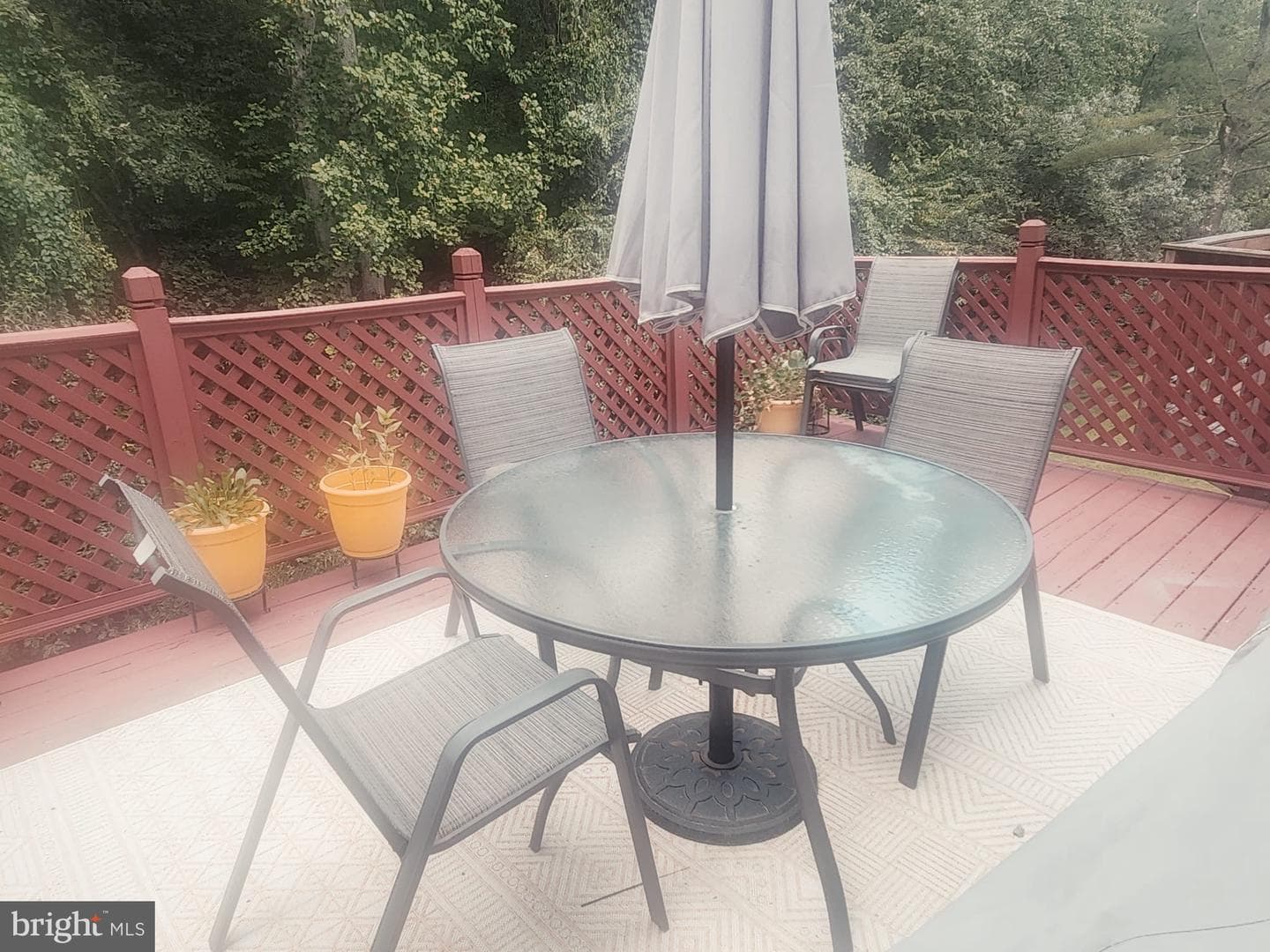 11403 Cosca Park Place photo 35