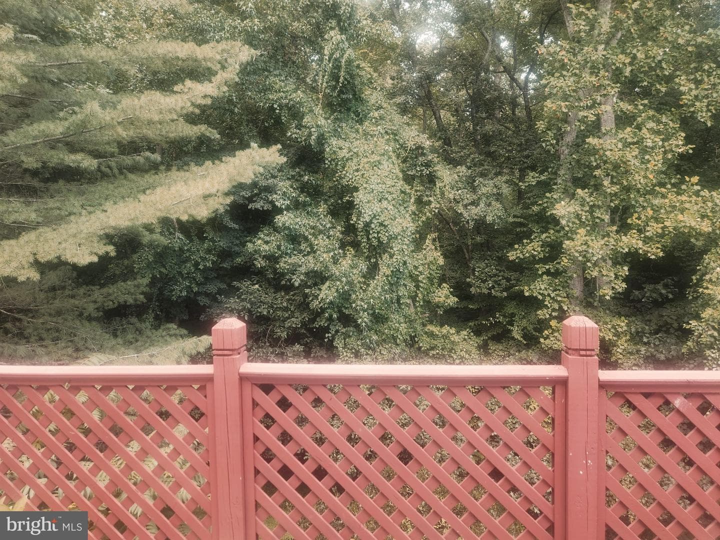 11403 Cosca Park Place photo 36