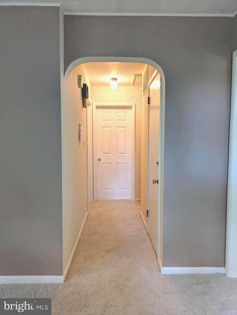 3802 Crystal Lane photo 8