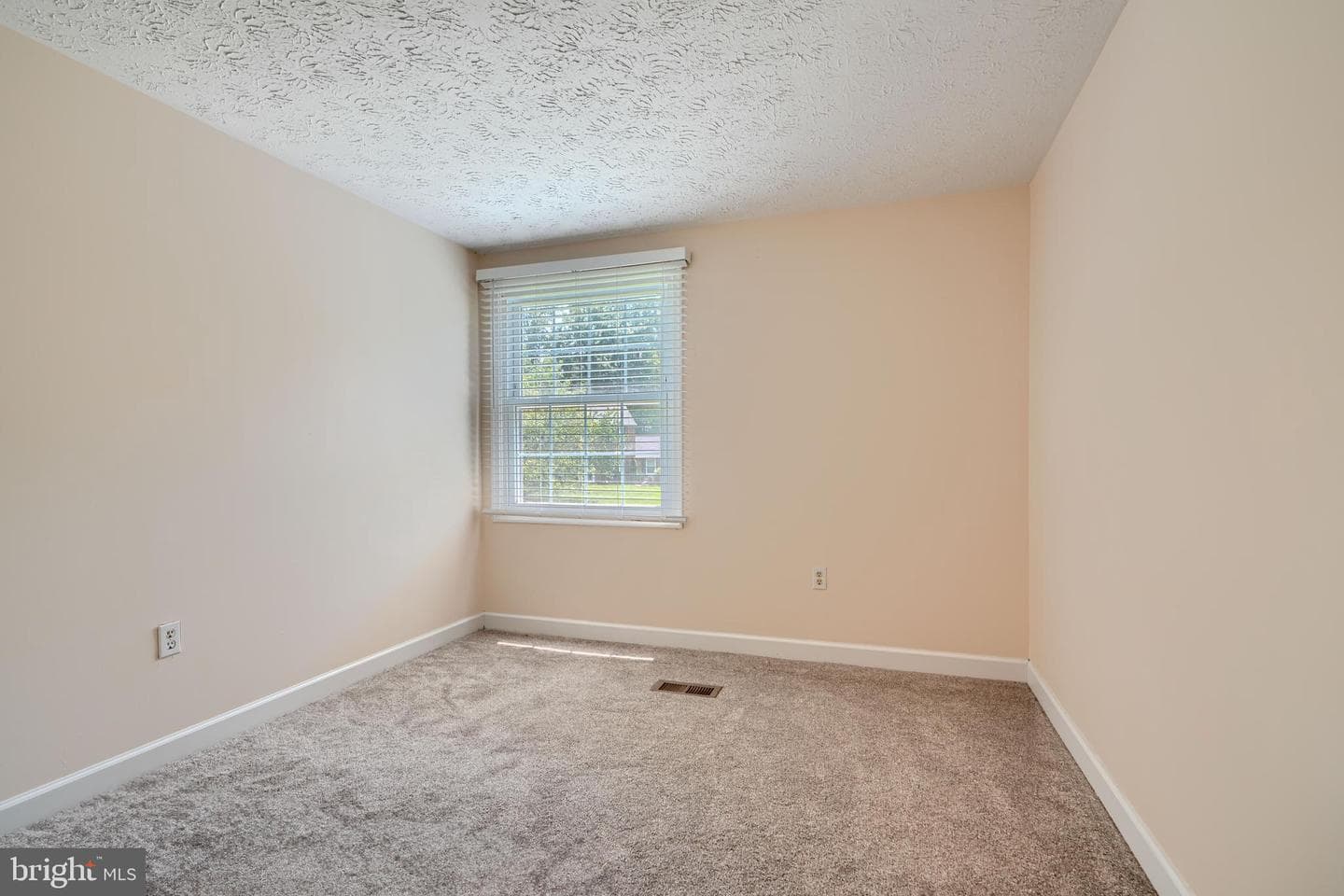 10808 Timberline Drive photo 12