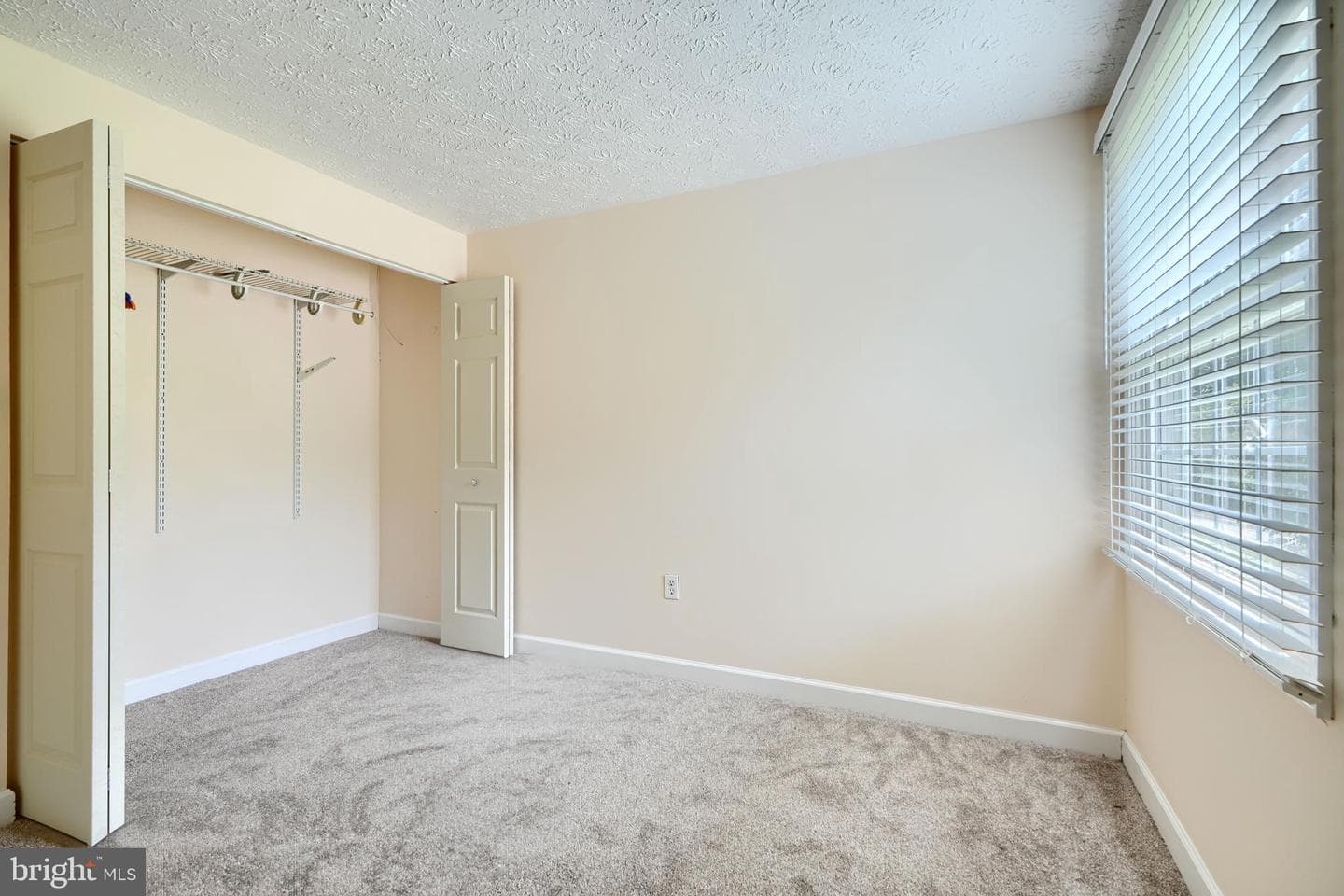 10808 Timberline Drive photo 14