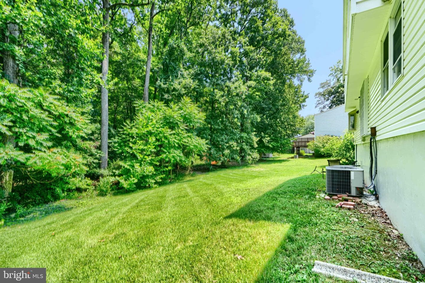 10808 Timberline Drive photo 44