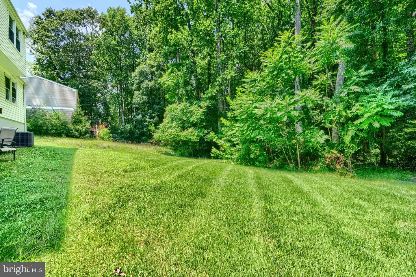 10808 Timberline Drive photo 48