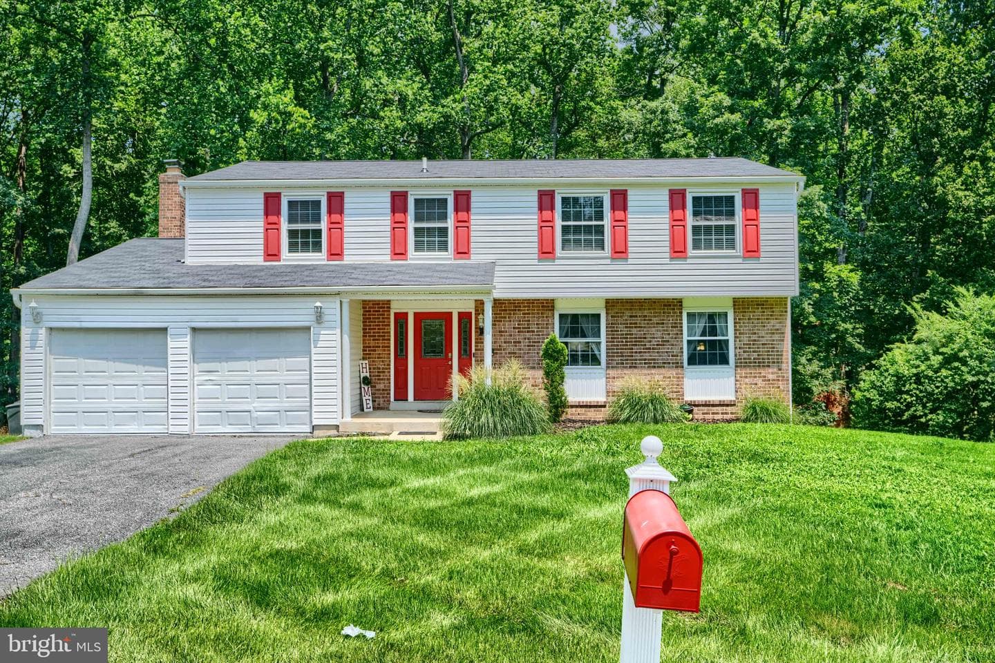 10808 Timberline Drive photo 5