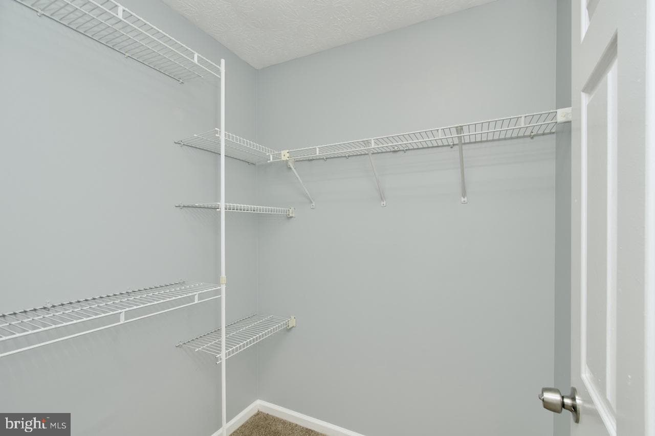 11425 Running Bear Court photo 28