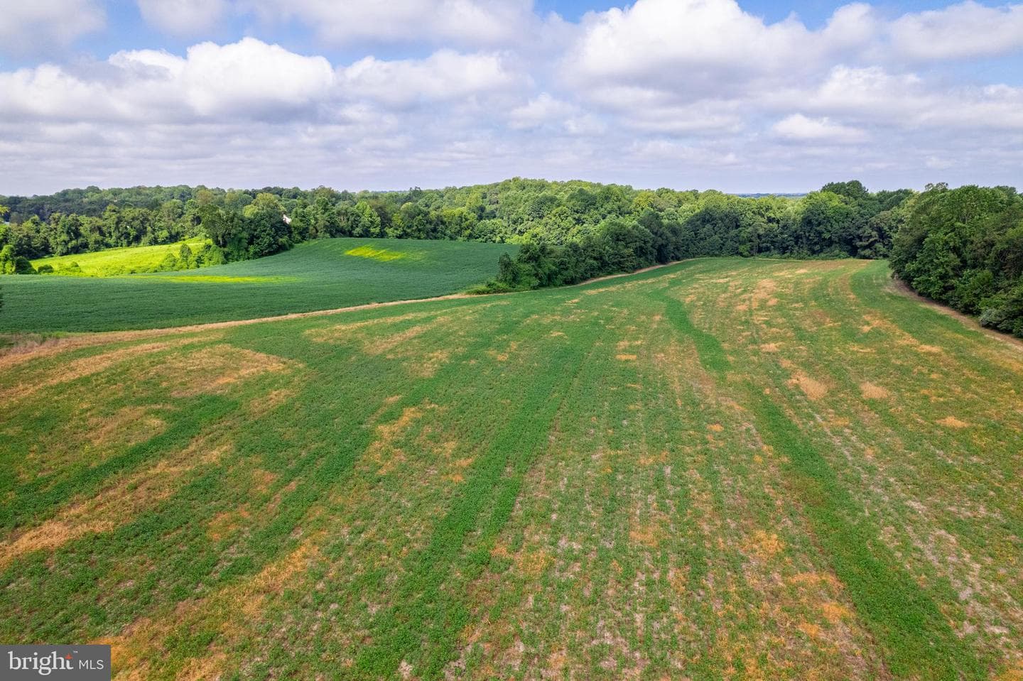 17308 Queen Anne Bridge Road photo 15