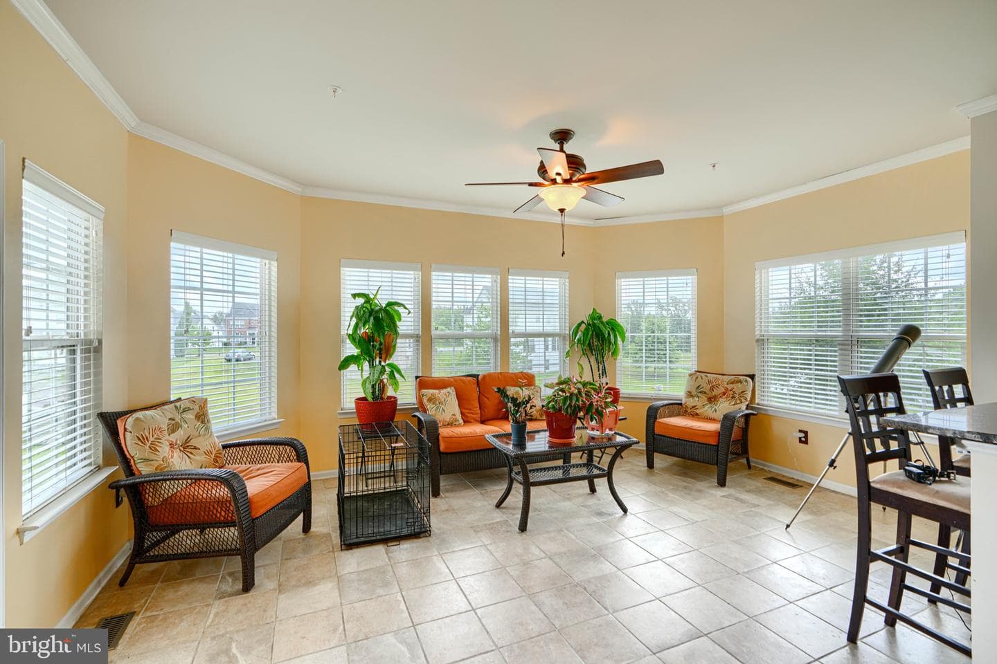 7105 Solomons Court photo 28
