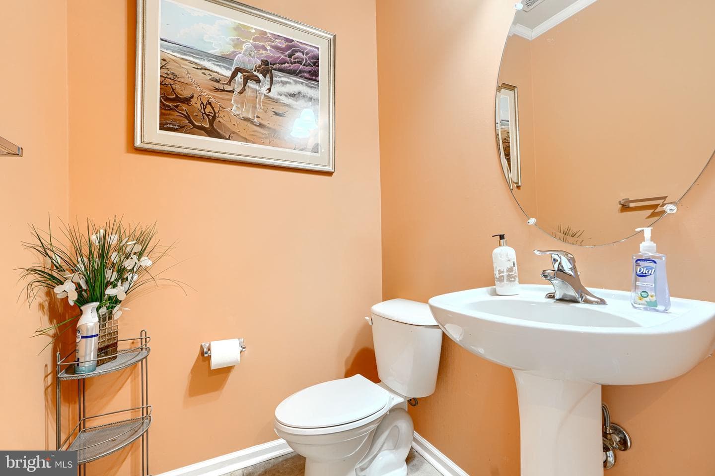 7105 Solomons Court photo 30
