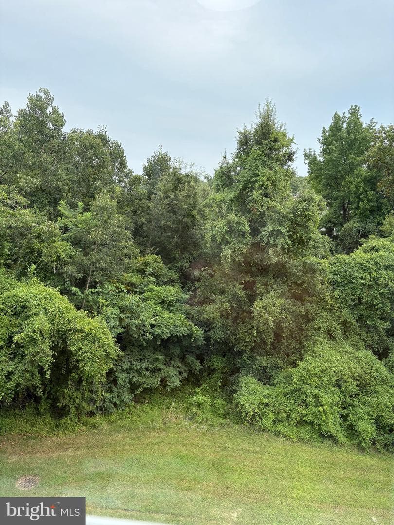 7300 Flag Harbor Drive photo 40