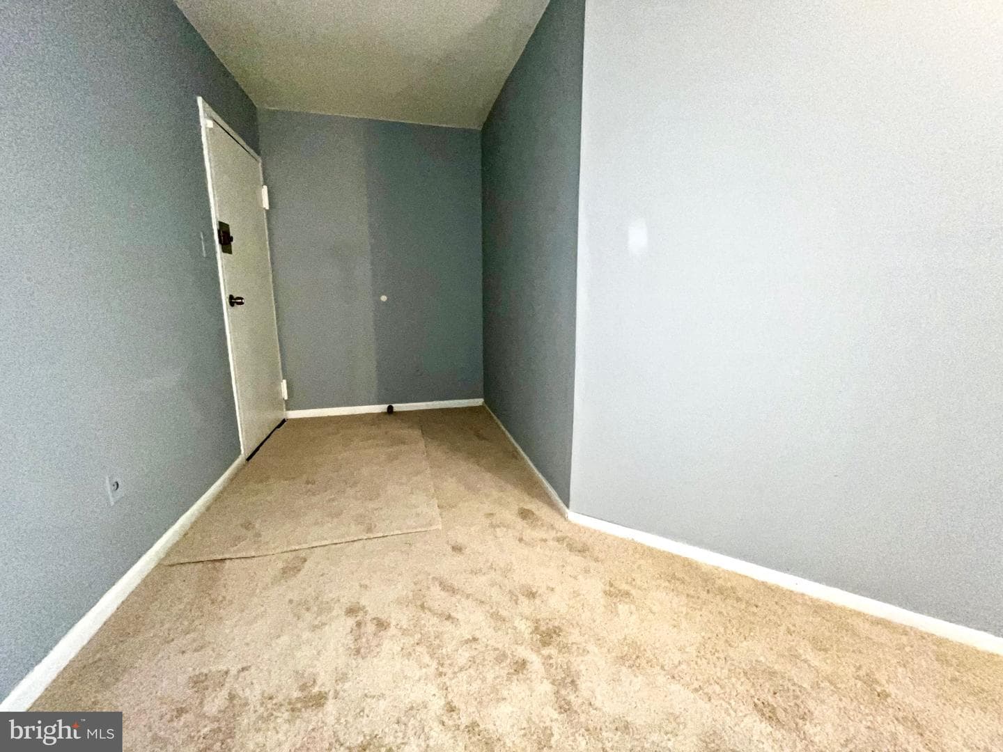 3138 Brinkley Road #8303 photo 4