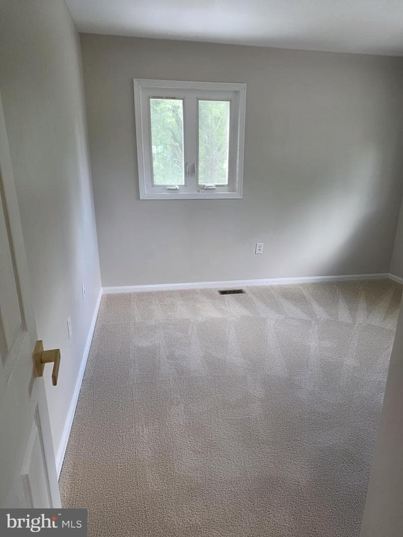 10204 Pine Meadows Lane photo 39