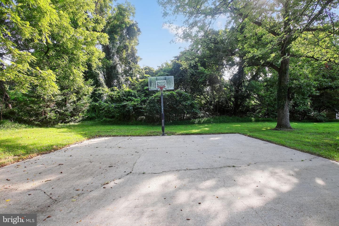 10204 Pine Meadows Lane photo 47
