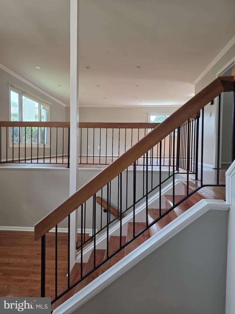 10204 Pine Meadows Lane photo 7