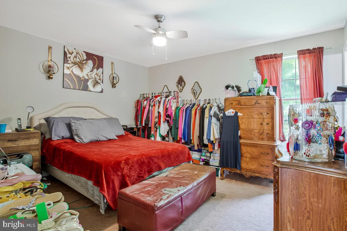 12605 Thrush Place photo 18