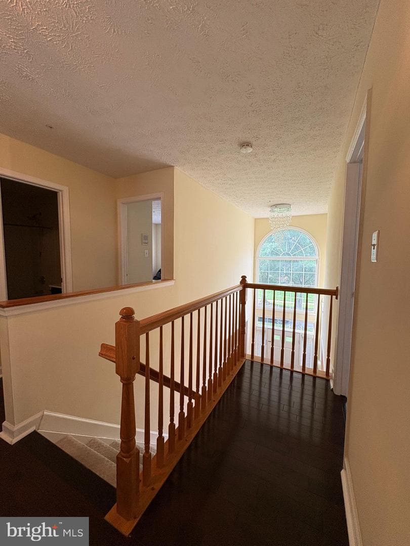 11505 Chesley Court photo 14
