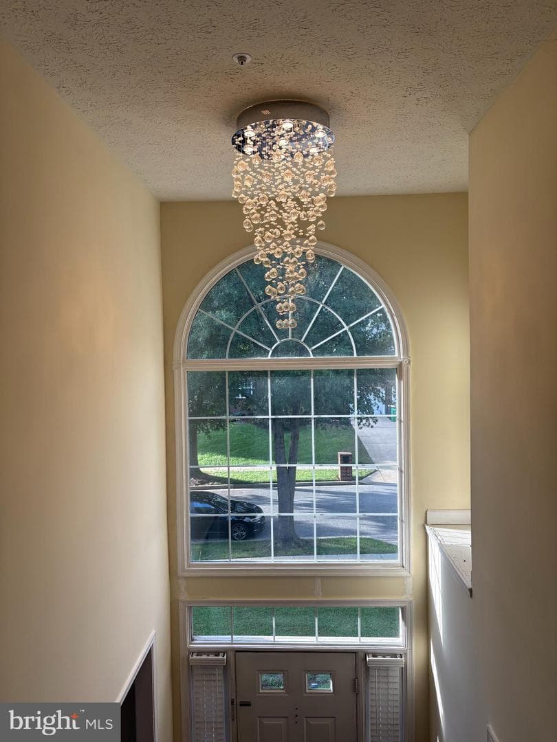 11505 Chesley Court photo 15