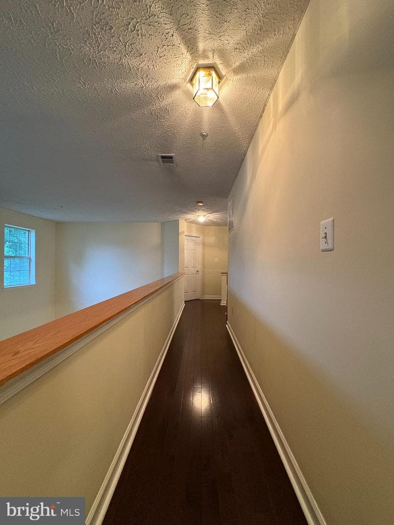 11505 Chesley Court photo 16