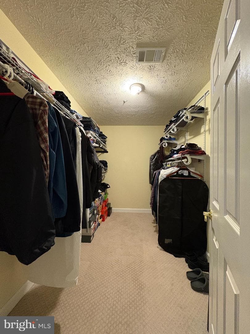 11505 Chesley Court photo 23