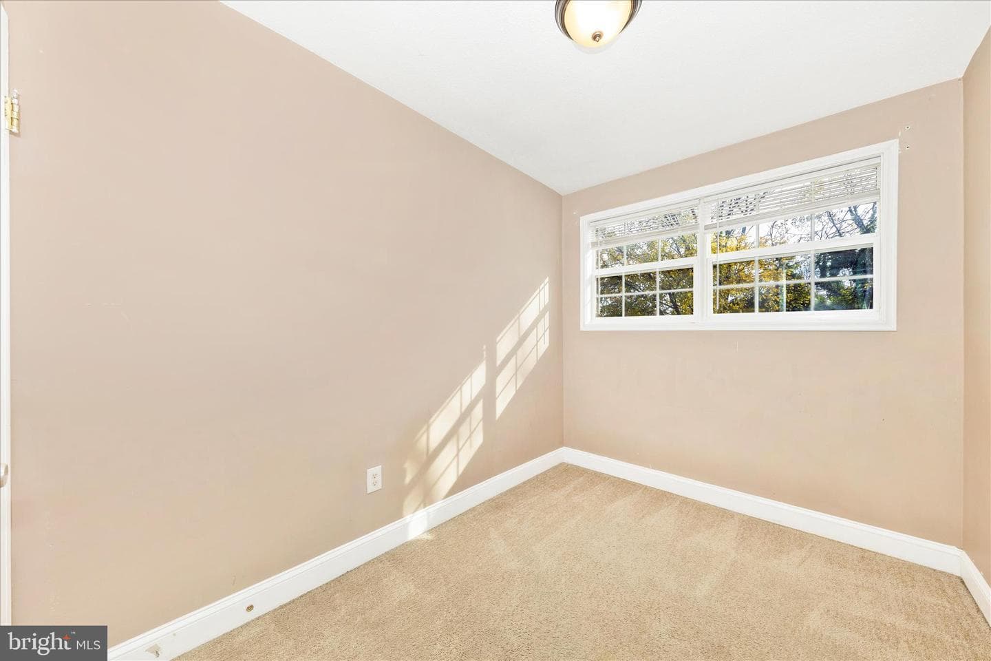 8109 Riggs Road photo 21