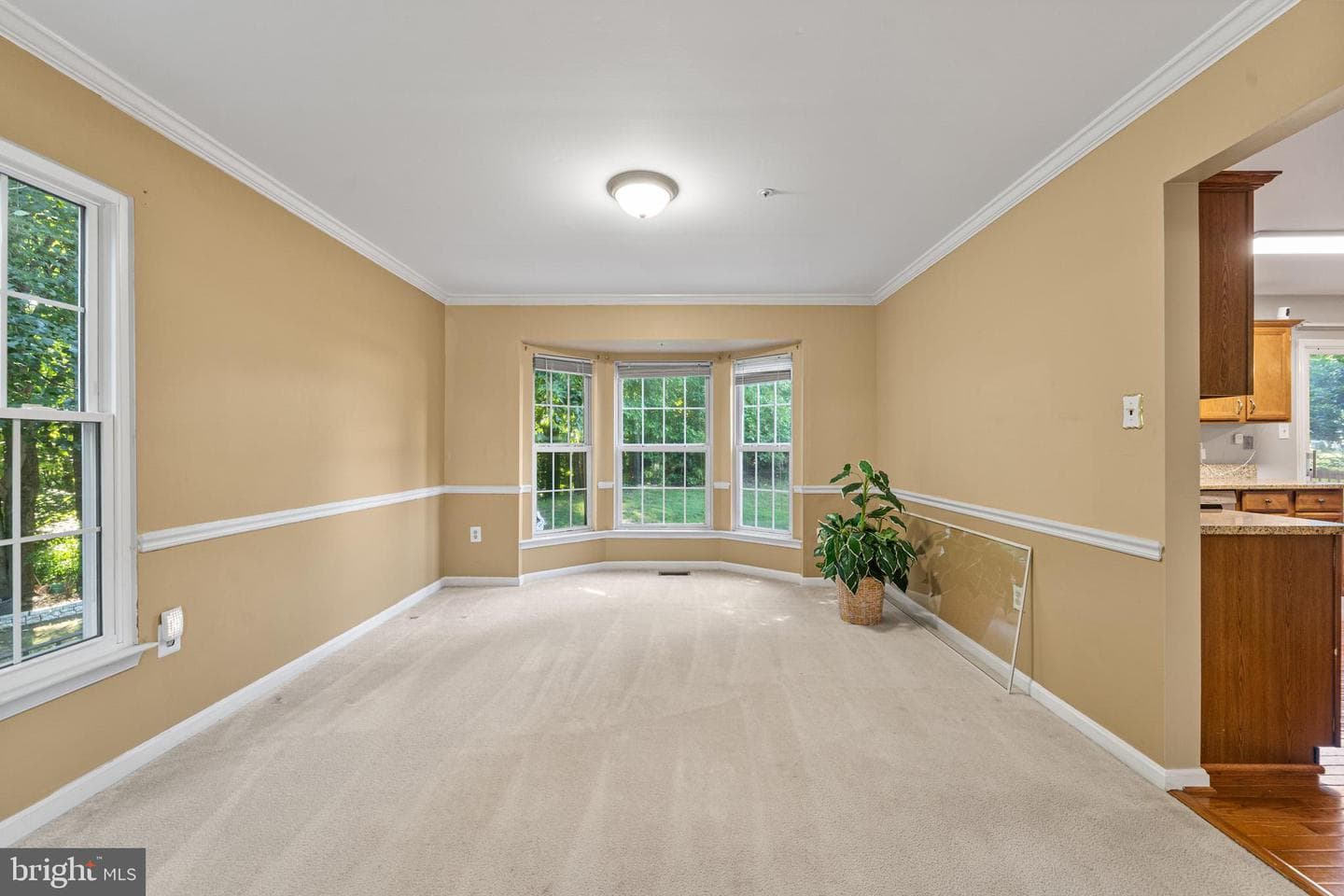 7001 Chain Fern Court photo 12